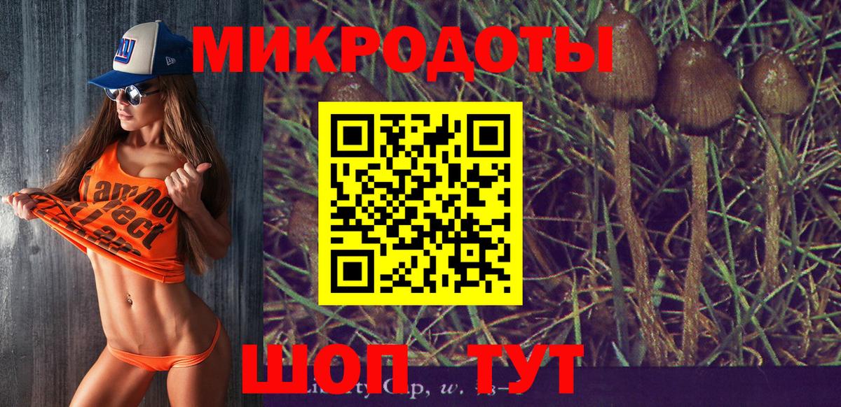 Псилоцибиновые грибы MAGIC MUSHROOMS Красноперекопск
